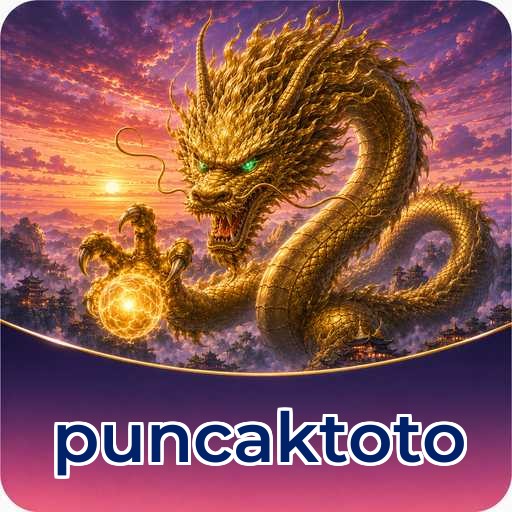 Troubleshooting puncaktoto